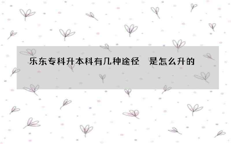 乐东专科升本科有几种途径 是怎么升的